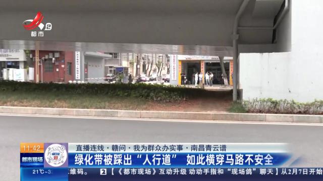 【直播连线·赣问·我为群众办实事】南昌青云谱：绿化带被踩出“人行道” 如此横穿马路不安全