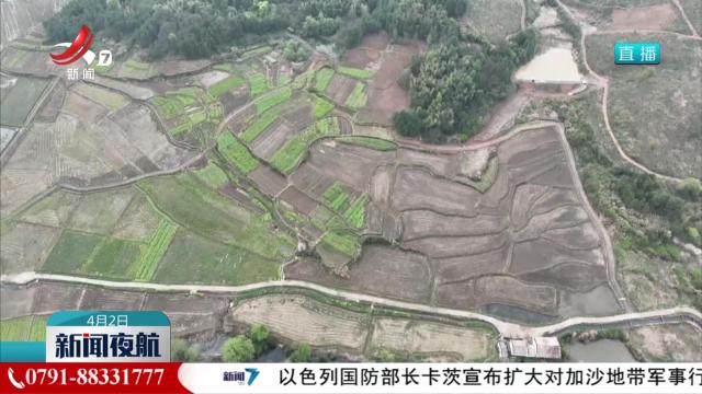 新闻夜航20250402