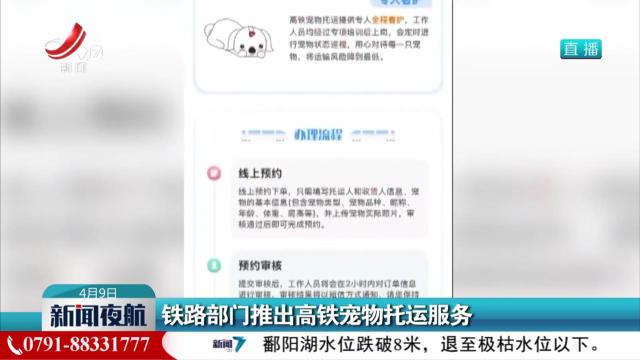 铁路部门推出高铁宠物托运服务
