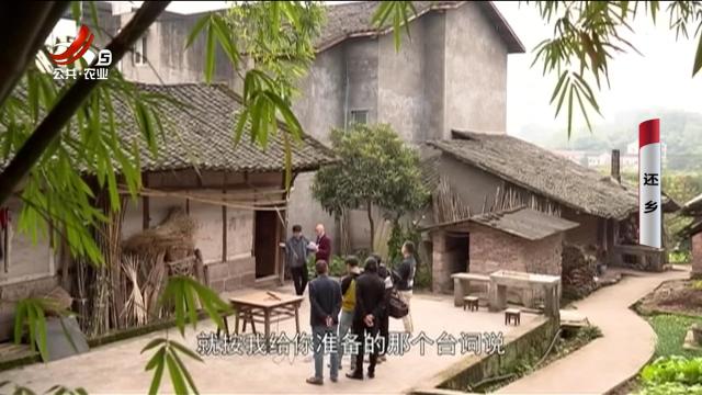 乡村栏目剧场20250411 还乡