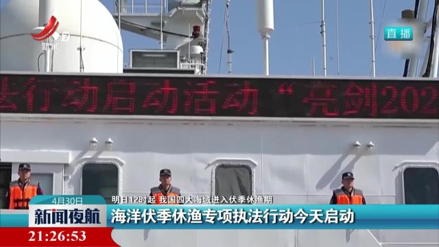 【明日12时起 我国四大海域进入伏季休渔期】海洋伏季休渔专项执法行动今天启动