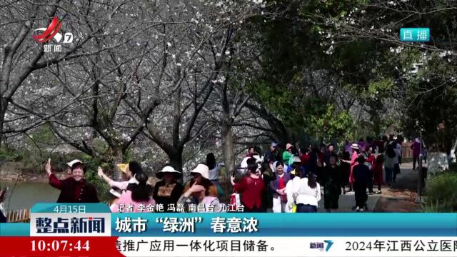 城市“绿洲”春意浓