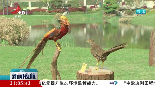 新闻夜航20250401