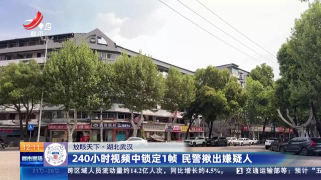 【放眼天下】湖北武汉：240小时视频中锁定1帧 民警揪出嫌疑人