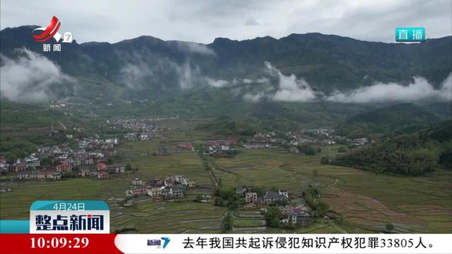 整点新闻20250424 10：00
