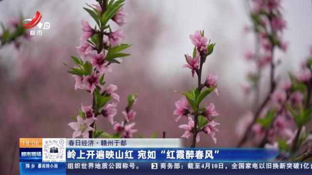 【春日经济】赣州于都：岭上开遍映山红 宛如“红霞醉春风”