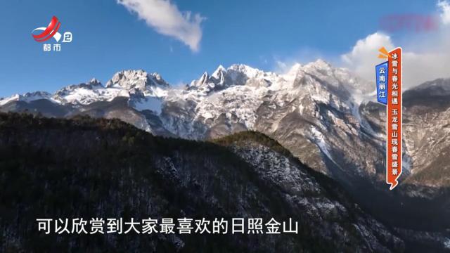 地宝当家20250403