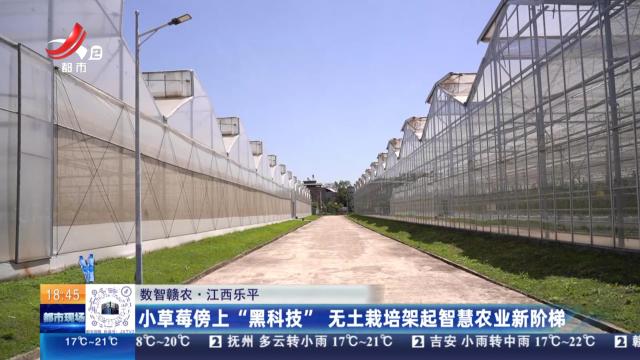 【数智赣农】江西乐平：小草莓傍上“黑科技” 无土栽培架起智慧农业新阶梯