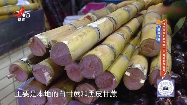 健康提醒——清明前后吃甘蔗要小心 霉变甘蔗有毒