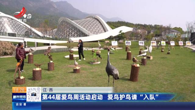 江西：第44届爱鸟周活动启动 爱鸟护鸟请“入队”