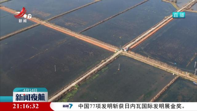 小龙虾上市 尝鲜正当时