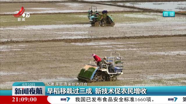 早稻移栽过三成 新技术促农民增收