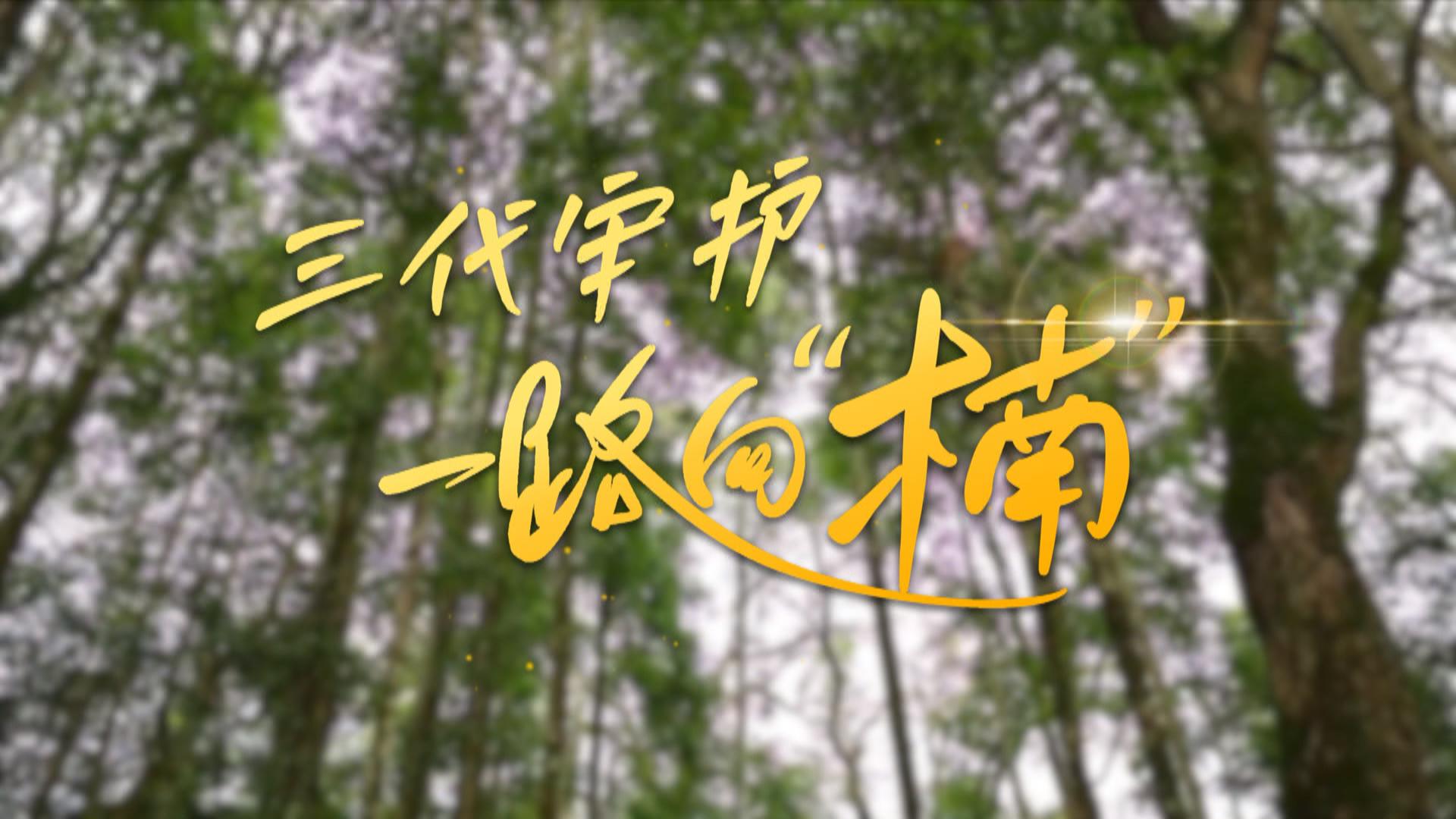 三代守护 一路向“楠”