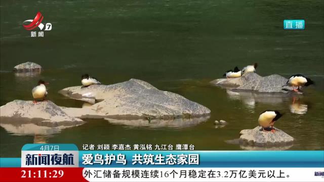 爱鸟护鸟 共筑生态家园