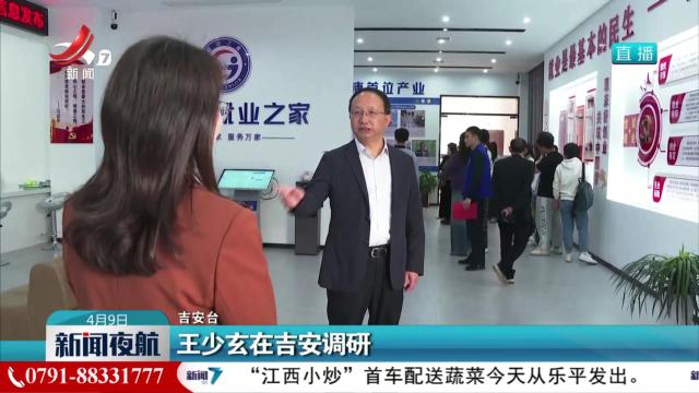 王少玄在吉安调研