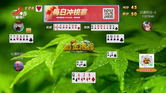 谁是赢家20250424