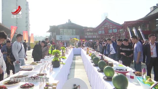 社会传真20250403 提振消费进行时——服务消费“赣”劲足