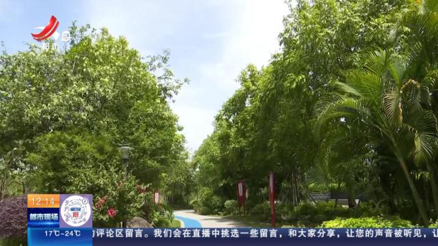 【放眼天下】广东汕尾：公园上空出现“蚊子龙卷风”
