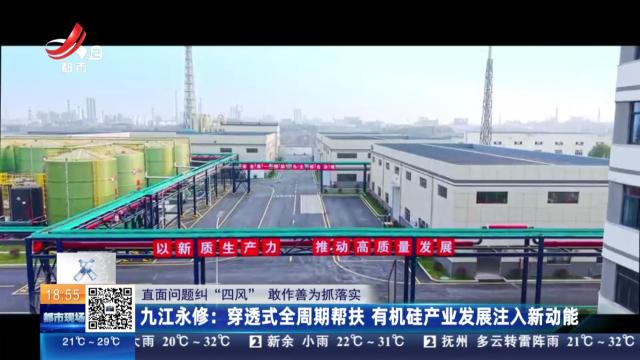 【直面问题纠“四风” 敢作善为抓落实】九江永修：穿透式全周期帮扶 有机硅产业发展注入新动能