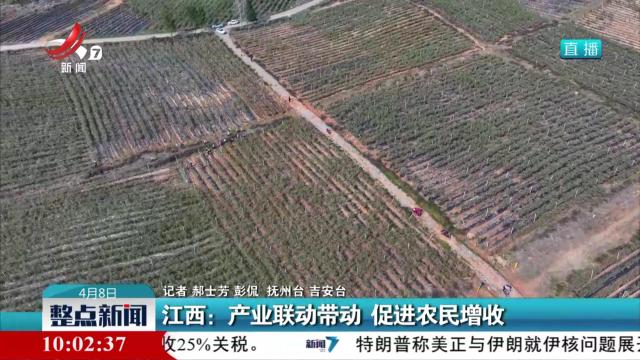 江西：产业联动带动 促进农民增收