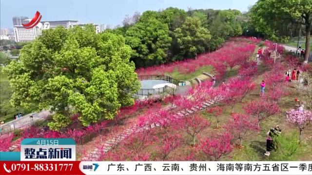 整点新闻20250415 14:00