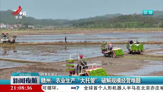 赣州：农业生产“大托管” 破解规模经营难题