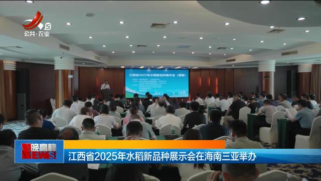 江西省2025年水稻新品种展示会在海南三亚举办