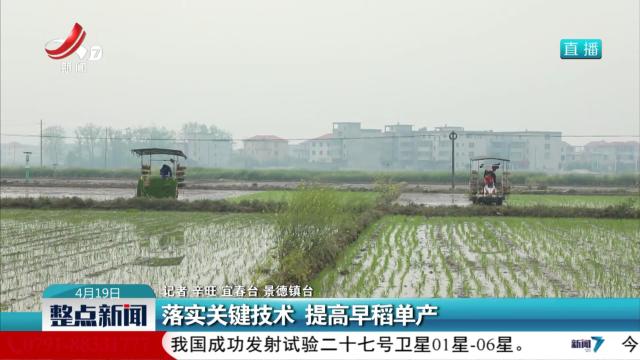 落实关键技术 提高早稻单产