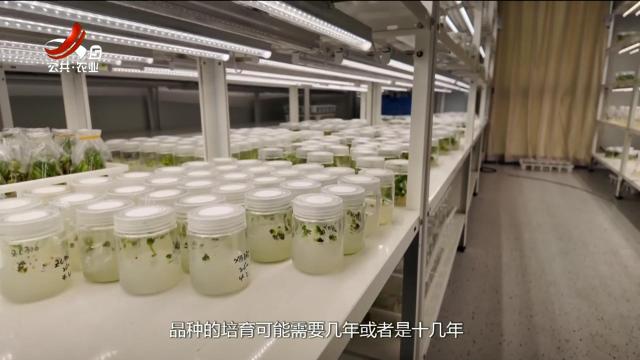 赣出精彩20250425