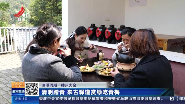 【清明假期】赣州大余：清明踏青 来古驿道赏绿吃青梅