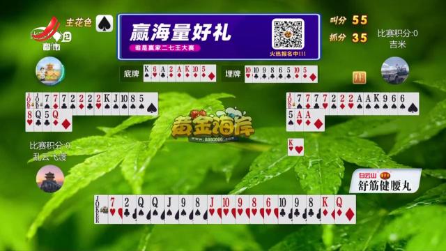 谁是赢家20250425