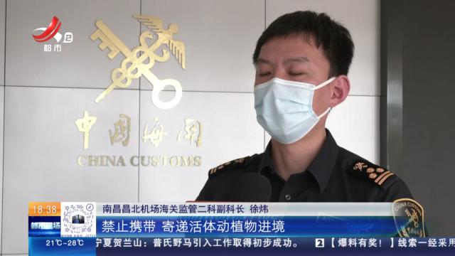 南昌海关：查获非法入境外来物种 咖啡罐内竟藏活体幼鱼