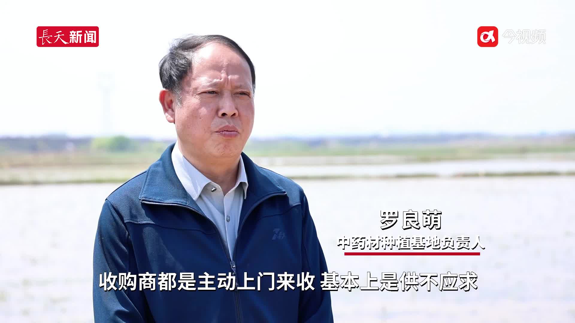 吉安泰和：播撒三棱希望种 春耕交响曲正酣