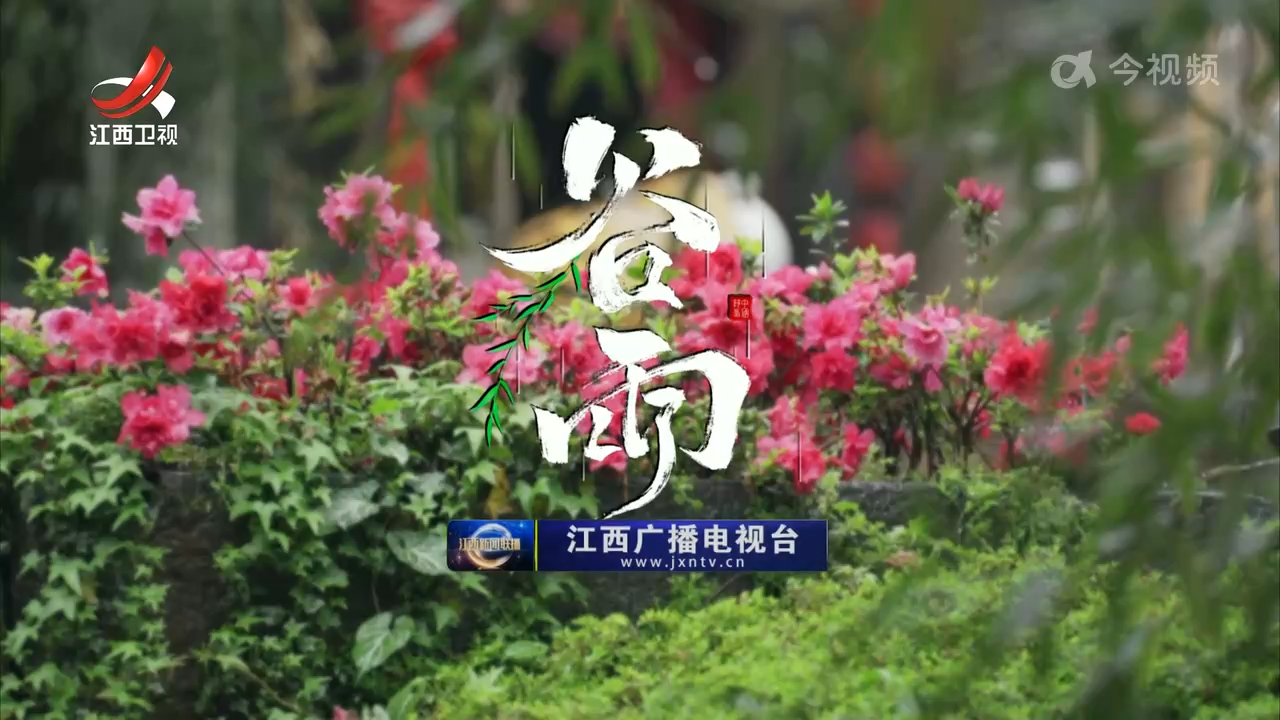 二十四节气·谷雨
