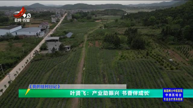 三农头条20250423