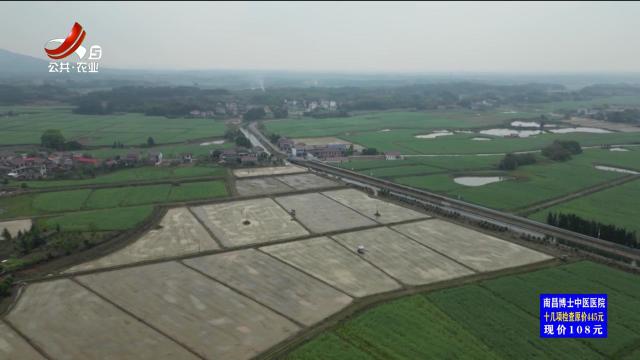 三农头条20250403