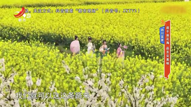 地宝当家20250423