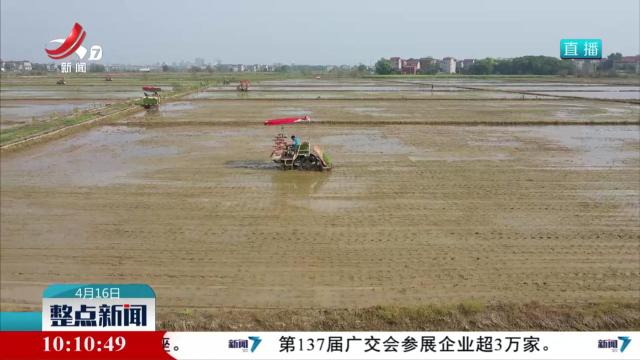 农机农艺齐发力 早稻增产有潜力