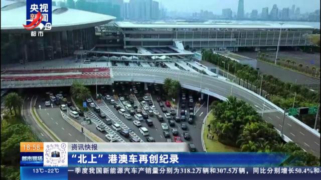 “北上”港澳车再创纪录