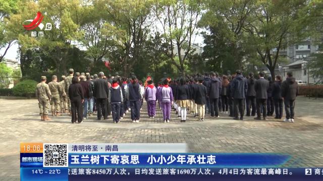 【清明将至】南昌：玉兰树下寄哀思 小小少年承壮志