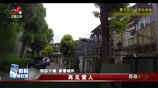 传奇故事20250408 再见爱人