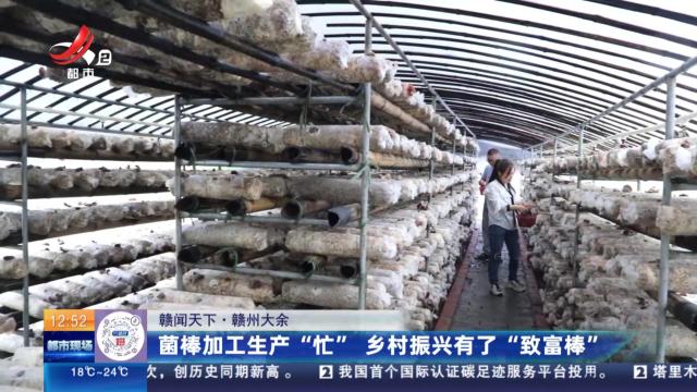 【赣闻天下】赣州大余：菌棒加工生产“忙” 乡村振兴有了“致富棒”