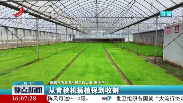 整点新闻20250417 16:00
