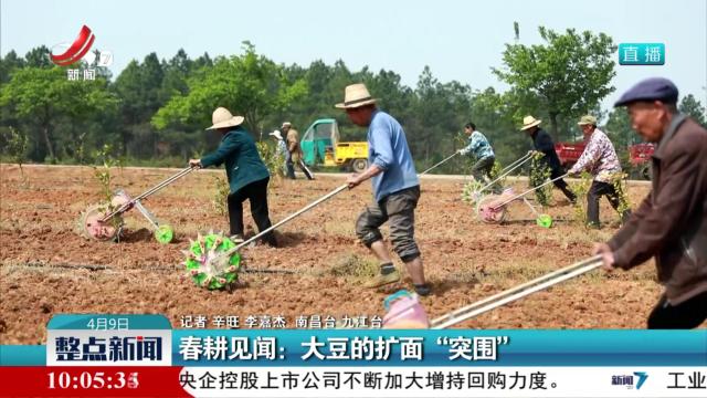 春耕见闻：大豆的扩面“突围”