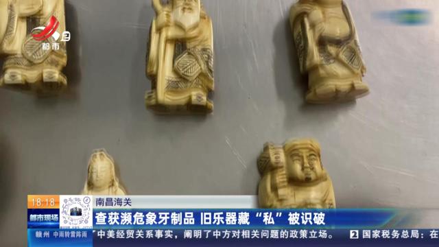 南昌海关：查获濒危象牙制品 旧乐器藏“私”被识破