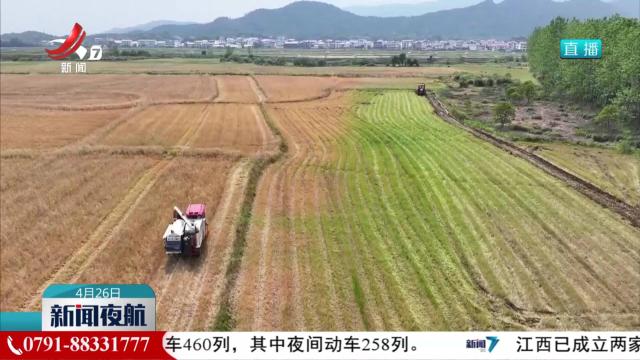 早稻移栽进入尾声 不误农时保面积