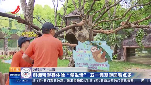 【放眼天下】上海：树懒带游客体验“慢生活” 五一假期游园看点多