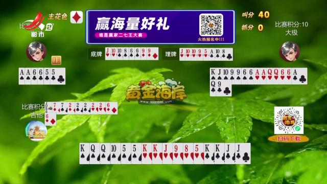 谁是赢家20250420