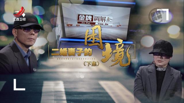 金牌调解20250418 二婚妻子的困境（下）