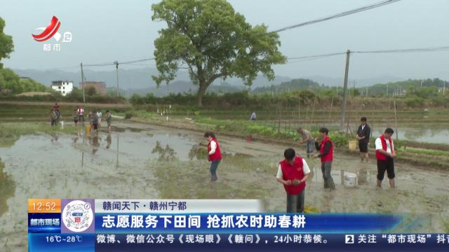 【赣闻天下】赣州宁都：志愿服务下田间 抢抓农时助春耕